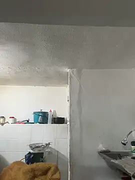 siri duque online show from October 2025 11:07:01 AM