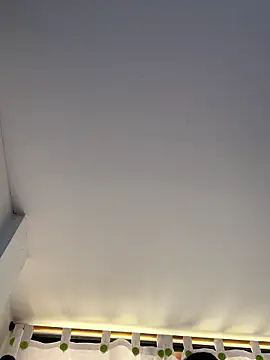 siri duque online show from November 2025 03:35:01 PM