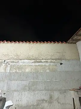 Leo bunny hot online show from January 2026 02:24:01 AM