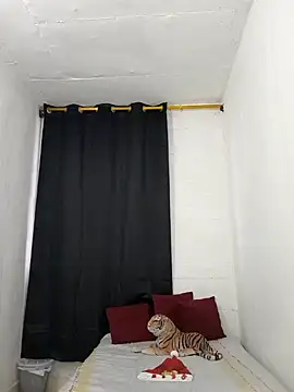 Velk hot online show from December 2024 09:45:02 PM