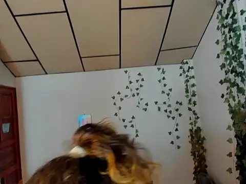 fulfill fantasies1 online show from February 2026 12:56:02 PM