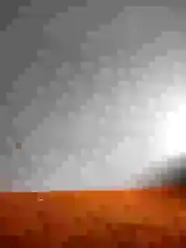 Snapshot of Dalou3a69 chatting on January 2025 10:59:02 AM Dalou3a69 online show from January 2025 10:59:02 AM