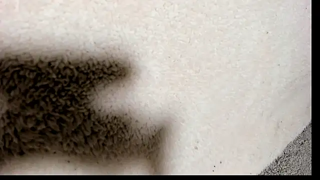 Brock hurn1 online show from September 2025 02:00:02 AM