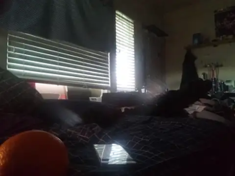 DevinToore online show from February 2026 06:39:02 PM