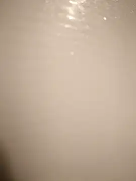 53kkkkkk online show from February 2026 03:18:01 PM