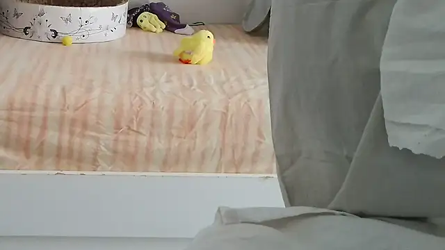 VeneRed online show from September 2025 08:47:01 AM