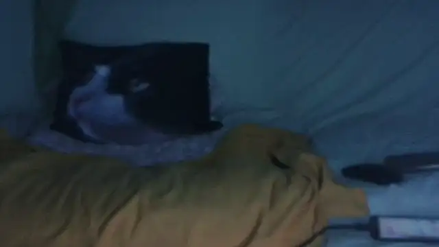 VeneRed online show from September 2025 08:21:01 PM