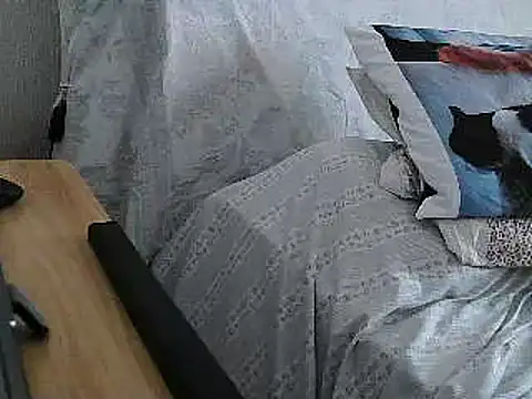 Snapshot of VeneRed chatting on July 2026 01:24:01 PM VeneRed online show from July 2026 01:24:01 PM