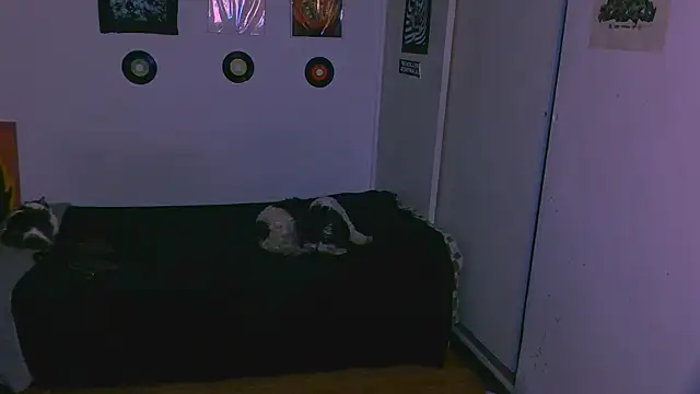 alex one888 online show from November 2025 11:03:01 PM