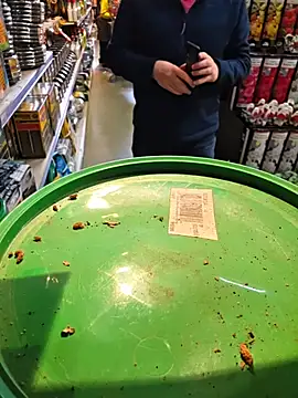 nataliecdlive online show from March 2026 12:11:01 PM