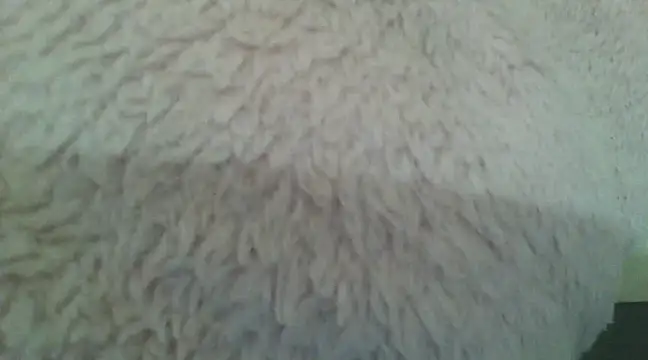 Snapshot of samanta0033 chatting on December 2024 09:17:01 PM samanta0033 online show from December 2024 09:17:01 PM