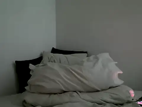 Snapshot of bruce_bigg chatting on February 2025 06:25:02 AM bruce bigg online show from February 2025 06:25:02 AM