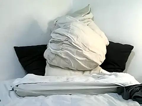 Snapshot of bruce_bigg chatting on February 2025 03:40:01 AM bruce bigg online show from February 2025 03:40:01 AM