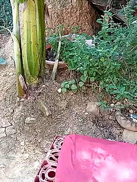 Snapshot of tayson_ chatting on January 2025 03:20:01 PM tayson online show from January 2025 03:20:01 PM