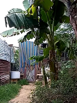 Snapshot of tayson_ chatting on March 2025 11:34:02 AM tayson online show from March 2025 11:34:02 AM