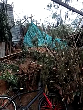 Snapshot of tayson_ chatting on February 2026 11:36:02 AM tayson online show from February 2026 11:36:02 AM