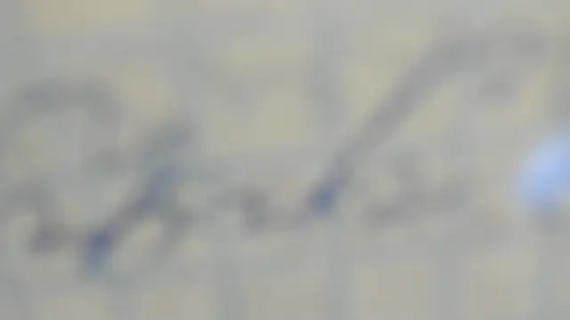 Snapshot of elis_gabbi chatting on September 2025 12:59:02 PM elis gabbi online show from September 2025 12:59:02 PM