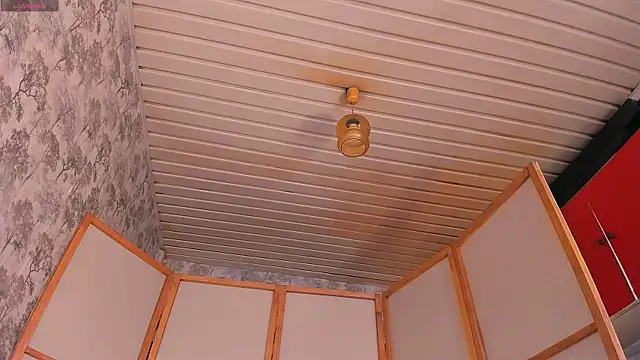 the perfectgirl online show from March 2025 12:48:02 PM