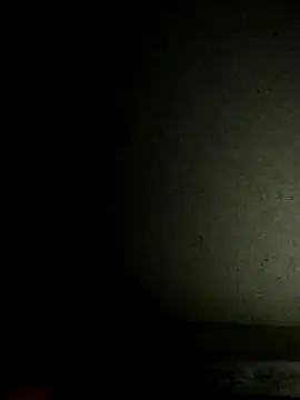 Leocesar37 online show from November 2025 04:29:02 PM