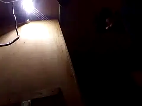 perkins1mm online show from December 2024 06:43:01 PM