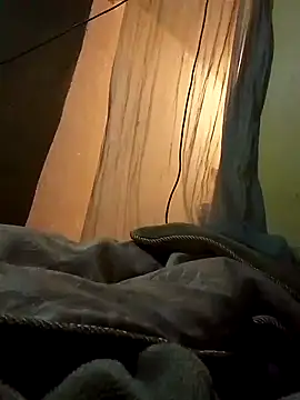 perkins1mm online show from January 2025 08:52:01 AM