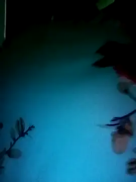 gunjan22 online show from December 2024 05:22:02 AM