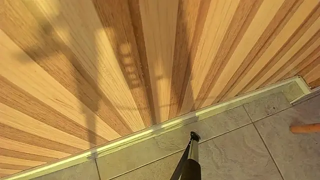 Taylor  cooper online show from October 2025 06:19:02 PM