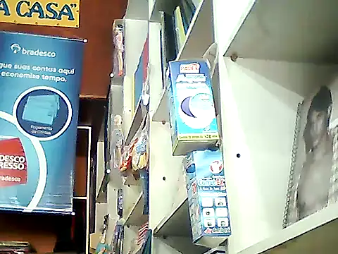 barboza991 online show from January 2025 05:34:01 PM