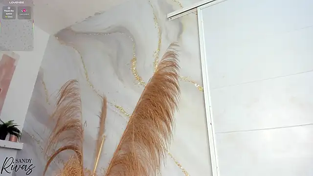 sandy rivas online show from February 2026 02:49:02 PM