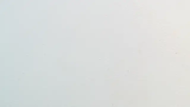 amaranta f00x online show from November 2025 12:37:02 PM