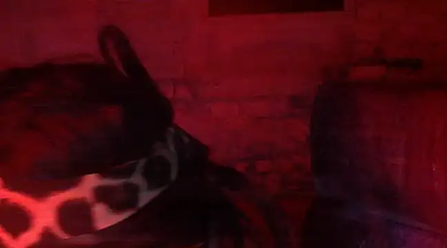 iva spirit online show from February 2025 07:52:01 PM