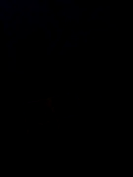 Desi SexyCoupleF online show from December 2025 04:57:02 PM