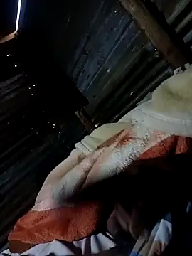 Chiseldigger online show from November 2025 03:51:02 AM