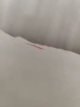 SertSikici022 online show from September 2025 01:44:02 PM