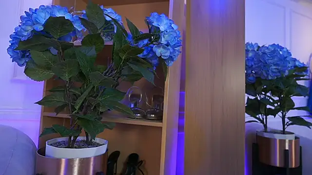 elasummer online show from February 2026 02:23:01 PM