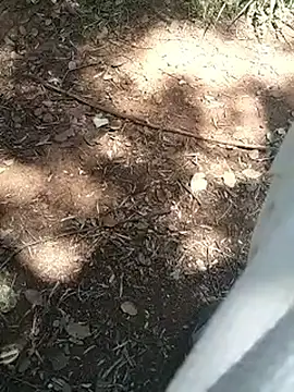 mehdi-l7away online show from April 2026 12:06:02 PM