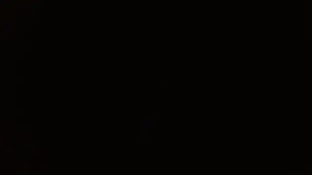 Snapshot of _______the chatting on December 2025 08:24:02 PM the online show from December 2025 08:24:02 PM