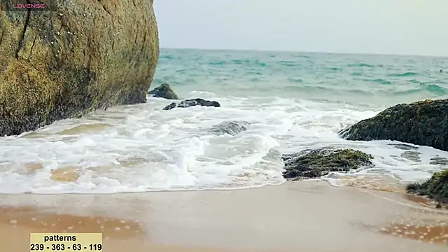  sex in paradise  online show from January 2025 12:43:02 AM