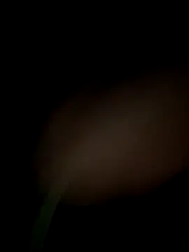 Snapshot of satrr_xxx chatting on September 2025 08:24:01 PM satrr xxx online show from September 2025 08:24:01 PM