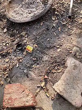 Snapshot of satrr_xxx chatting on November 2025 04:58:02 AM satrr xxx online show from November 2025 04:58:02 AM