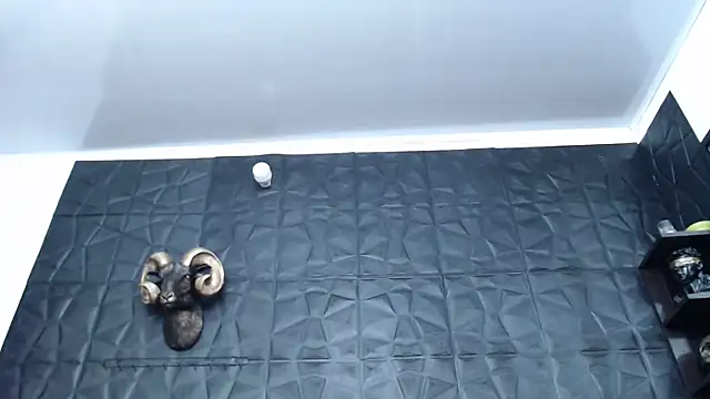 Hanna Fox 69 online show from February 2025 04:59:01 AM