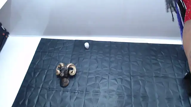 Hanna Fox 69 online show from March 2025 09:30:01 AM