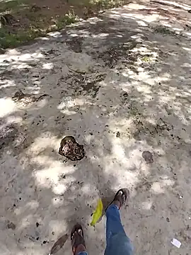 sudhastriper online show from October 2025 07:58:01 AM