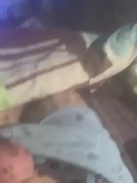 Snapshot of solomec chatting on November 2025 06:35:01 AM solomec online show from November 2025 06:35:01 AM