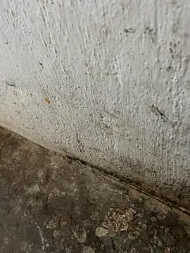 Snapshot of tamil000000 chatting on November 2025 03:30:02 AM tamil000000 online show from November 2025 03:30:02 AM