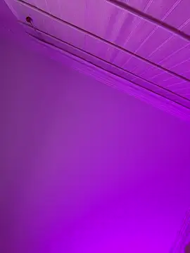 aurora divine online show from February 2026 01:09:01 PM