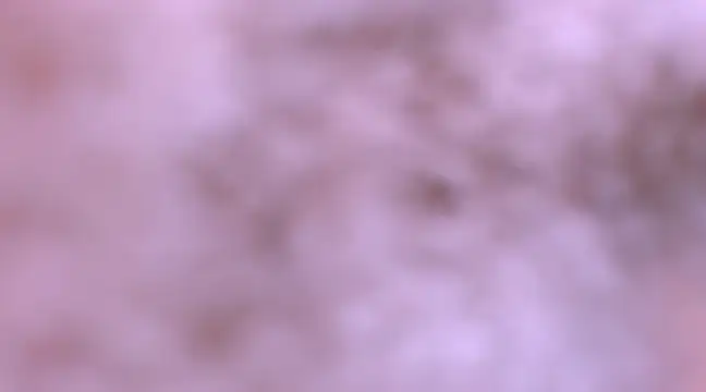 bubble red online show from February 2025 04:47:01 AM