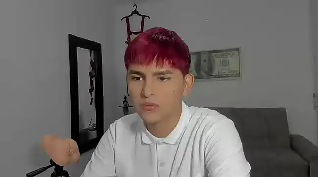 Snapshot of Lyam_ap chatting on December 2024 04:01:02 AM Lyam ap online show from December 2024 04:01:02 AM