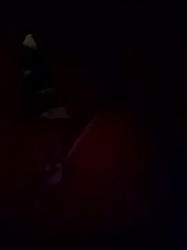 Kashish SC online show from January 2026 06:34:02 PM