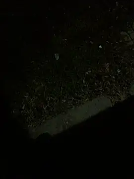 Snapshot of Nicusorescu26 chatting on October 2025 03:18:01 AM Nicusorescu26 online show from October 2025 03:18:01 AM